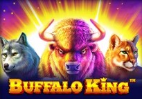Buffalo King Unique casino